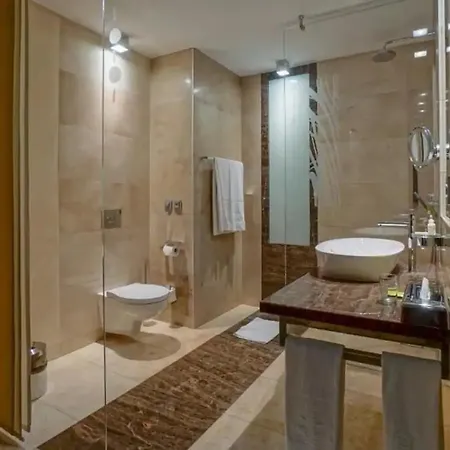 Hotel Andersia & Poznan, A Member Of Radisson Individuals 4*
